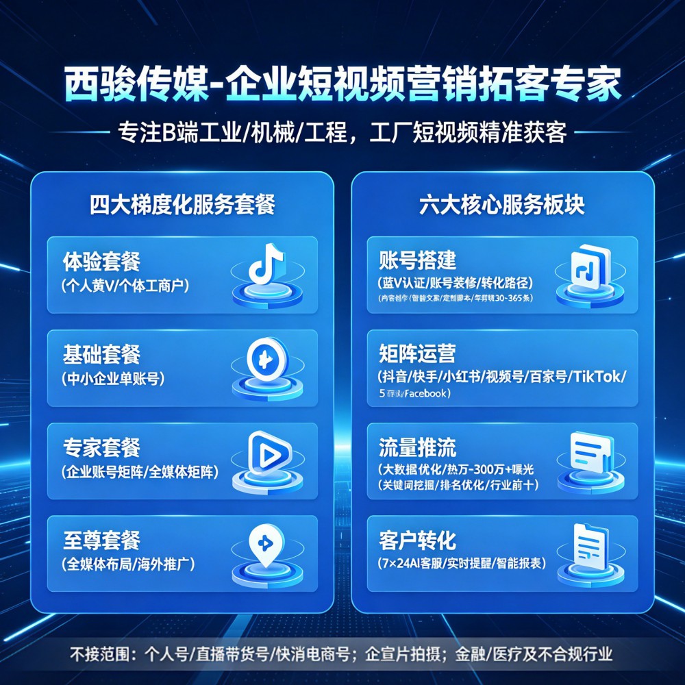 西骏传媒公司介绍 (2).jpg